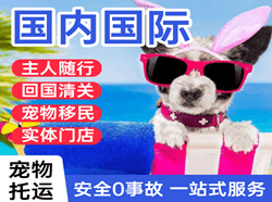 南京空运国际宠物托运 【国